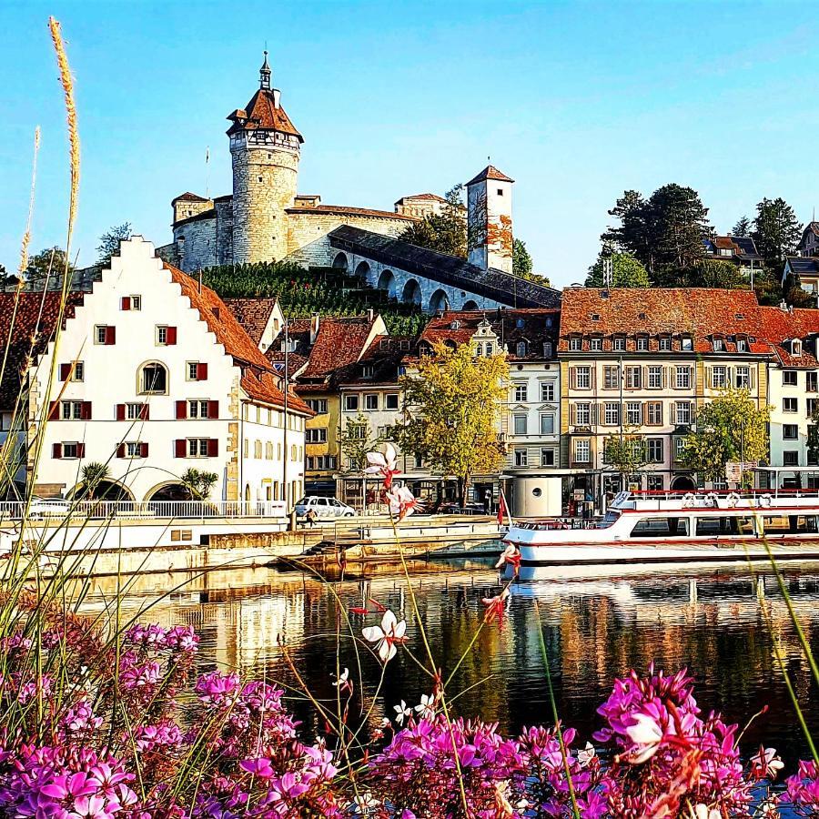 Apartment Suedwind - Beautiful Premium Apartment With 2 Bedrooms Near Rhine Falls & Zurich Airport In Klettgau Weisweil  외부 사진