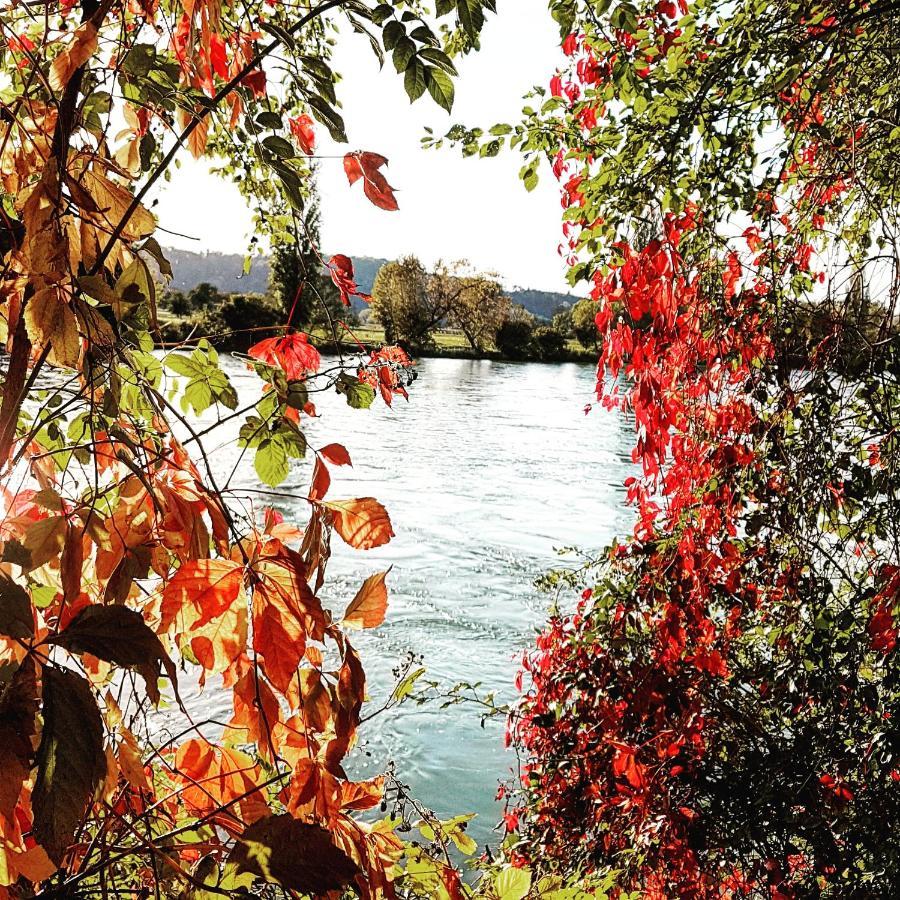 Apartment Suedwind - Beautiful Premium Apartment With 2 Bedrooms Near Rhine Falls & Zurich Airport In Klettgau Weisweil  외부 사진